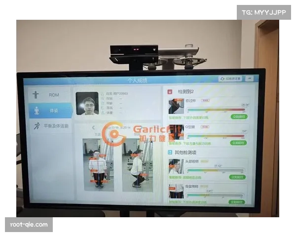 体育数据公司估值上涨，其核心产品为意甲定位球实时模拟软件